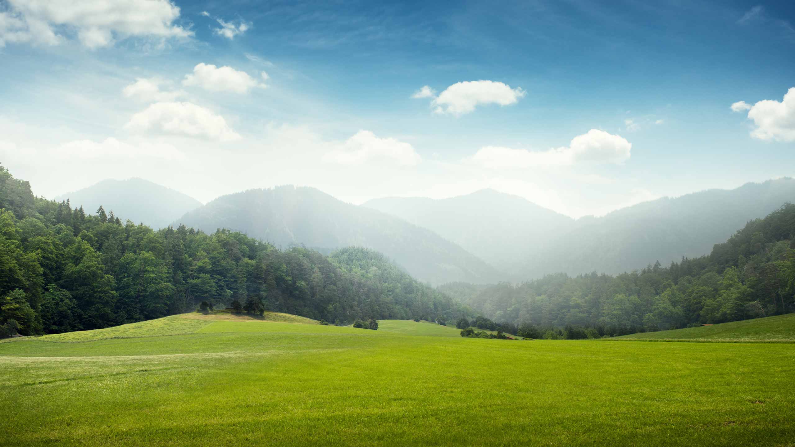 Klimaneutrale Produktion